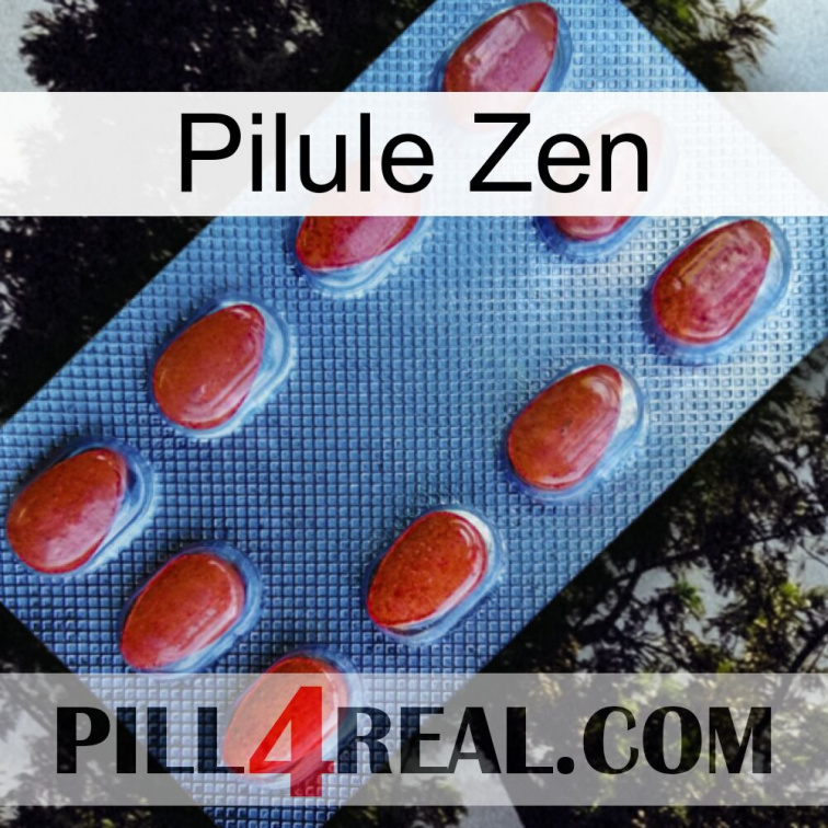 Zen Pill 06